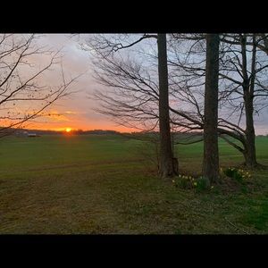 Meet your Posher, Jeanna